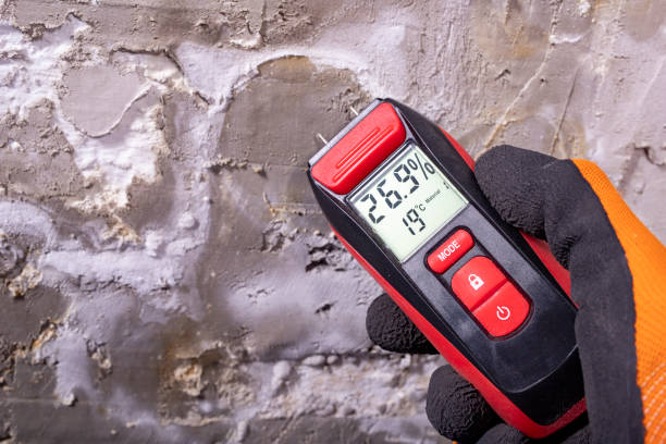 Best Mold Testing  in Gnadenhutten, OH