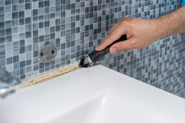 Best Attic Mold Removal  in Gnadenhutten, OH
