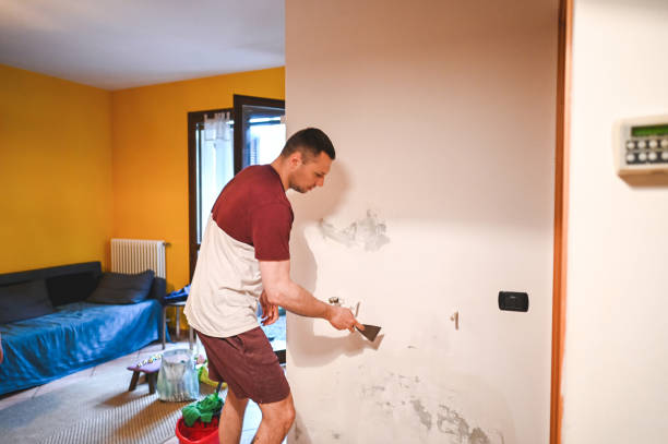 Attic Mold Removal in Gnadenhutten, OH